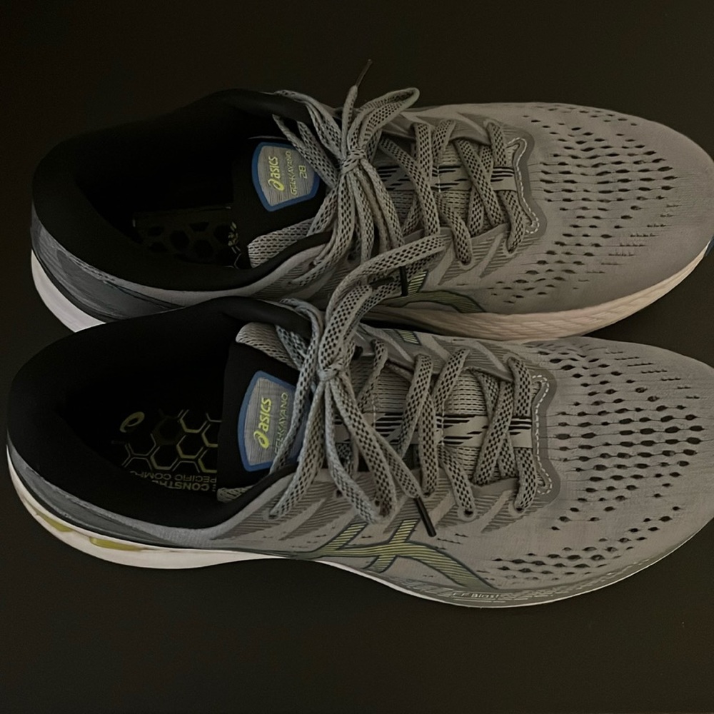 Asics Kayano 28